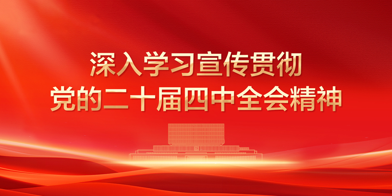 二十届四中全会精神